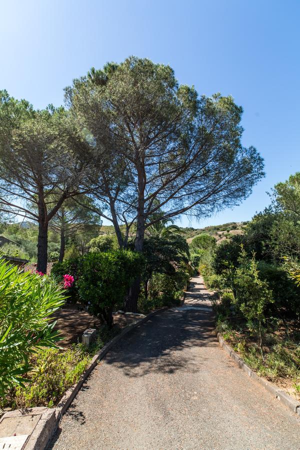 Les Arbousiers * Saint-Florent (Corsica)