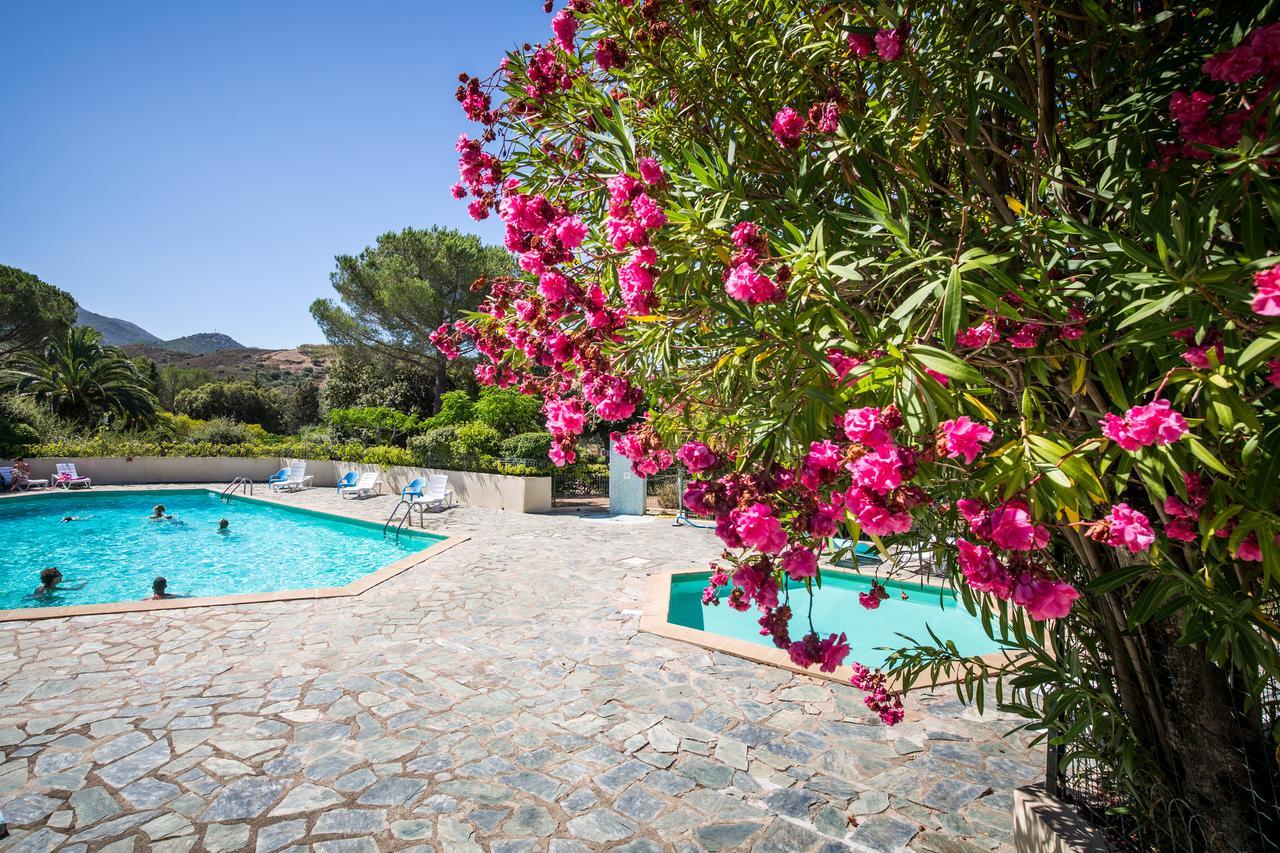 Les Arbousiers Saint-Florent (Corsica)